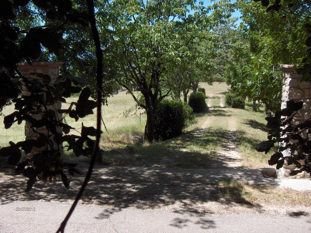 Agriturismo Il Palazzetto Leilighet Campello sul Clitunno Eksteriør bilde