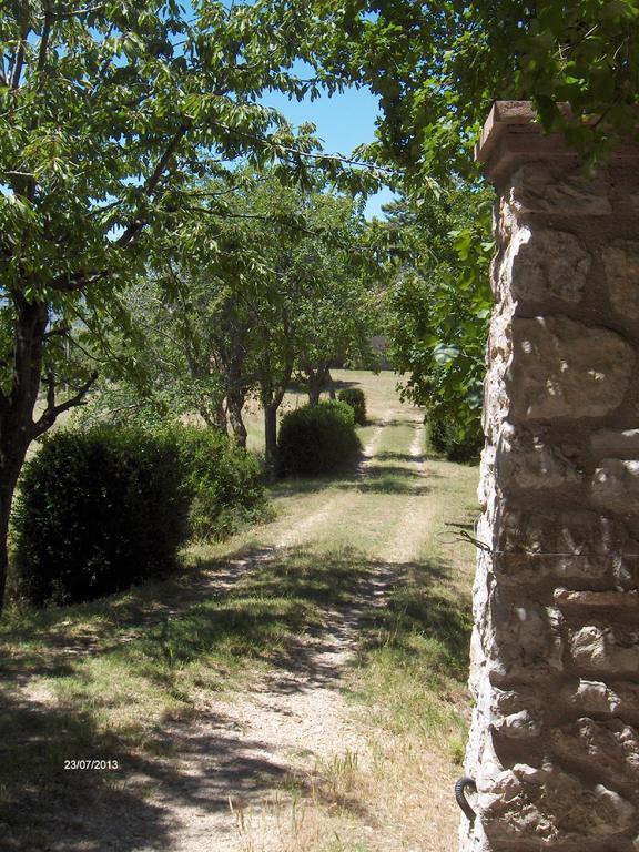 Agriturismo Il Palazzetto Leilighet Campello sul Clitunno Eksteriør bilde